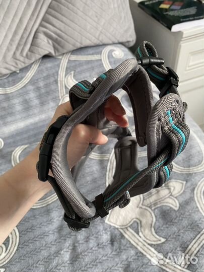 Шлейка для собаки S-M trixie и дождевик petmax