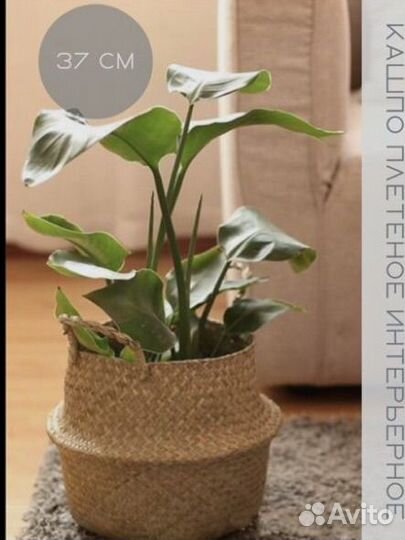 Кашпо для цветов плетеное