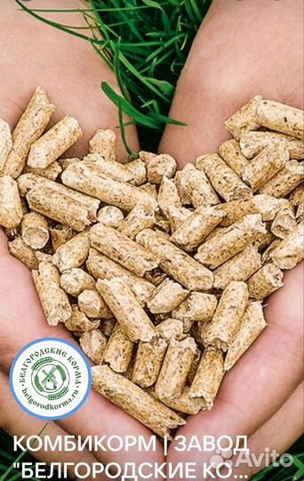 Корма для сельскохозяйственных животных