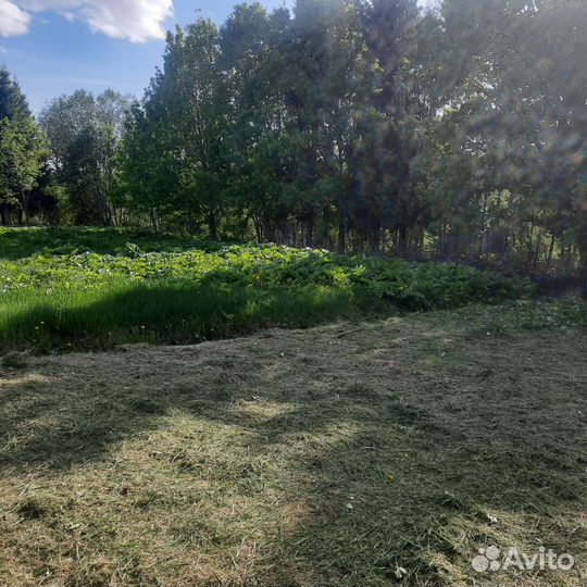 Покос травы триммером