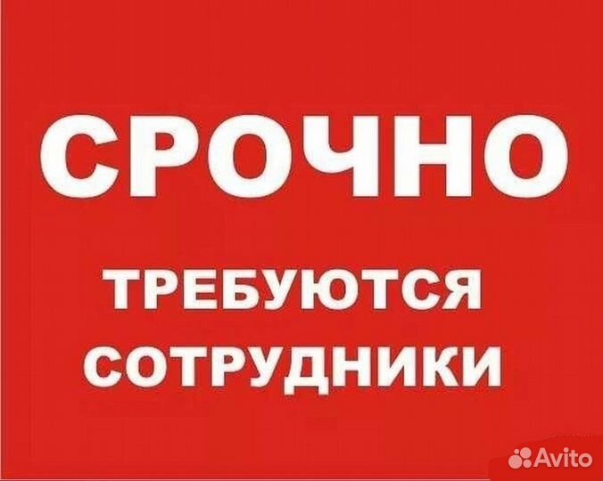 Работа на птицефабрике(вахта) Белгород, В.Новгород