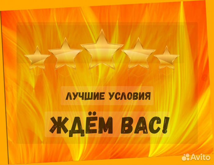 Оператор производственной линии Без опыта М/Ж