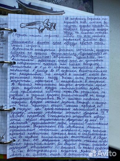 Написание конспектов любой сложности