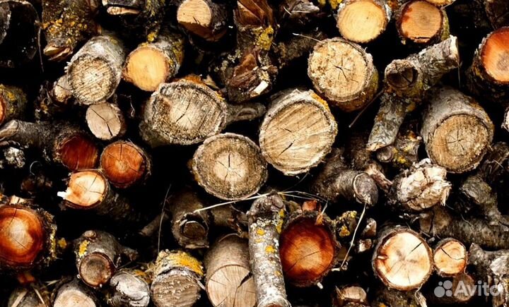 Дрова колотые