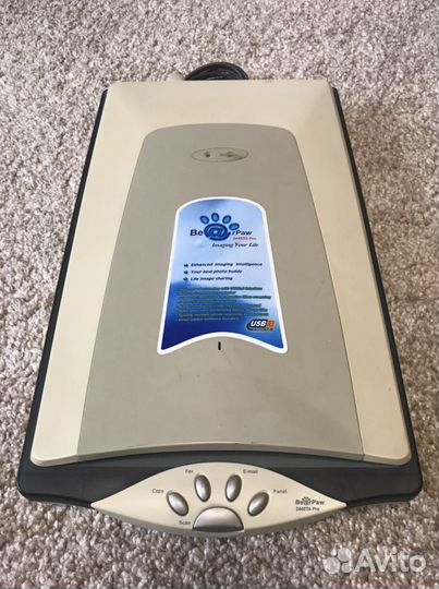 Сканер BearPaw 2448TA Pro mustek