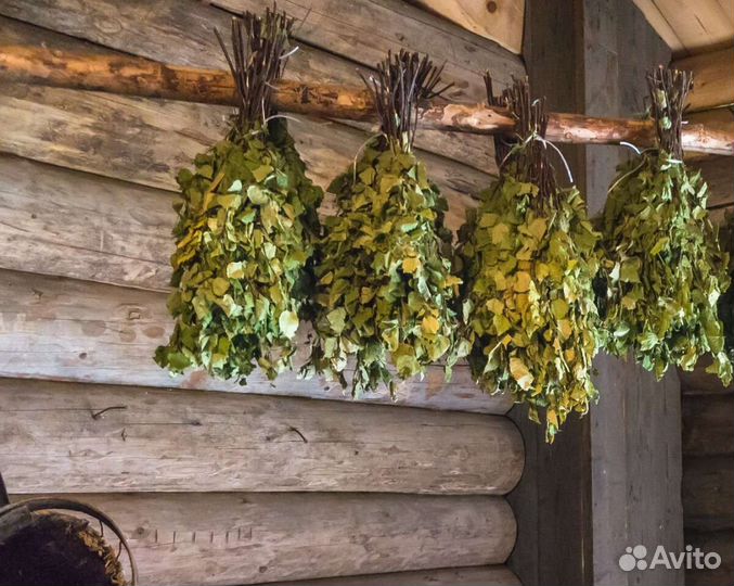 Березовые веники