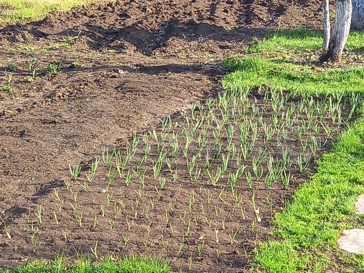 Дача 70 м² на участке 10 сот.