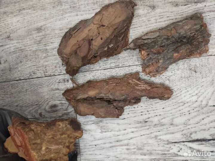 Сосновая кора