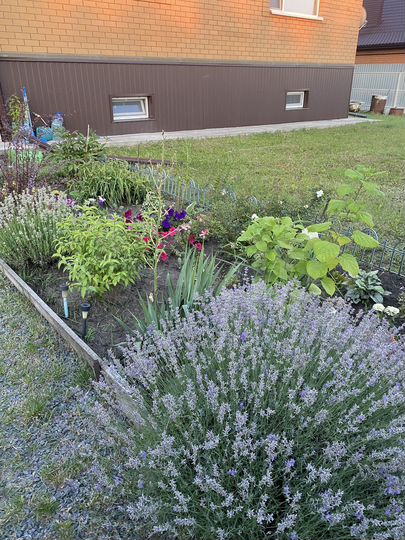 Дом 286,5 м² на участке 16 сот.