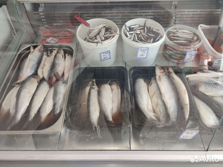 Рыба