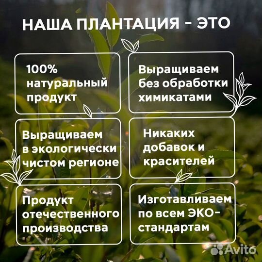 Чёрный чай ручной сбор 60 гр