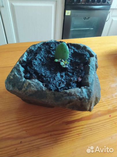 Горшок из натурального камня