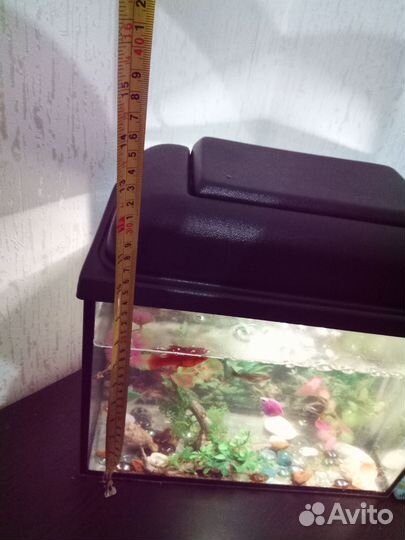 Аквариум