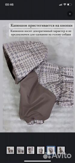 Дождевик для средней собаки