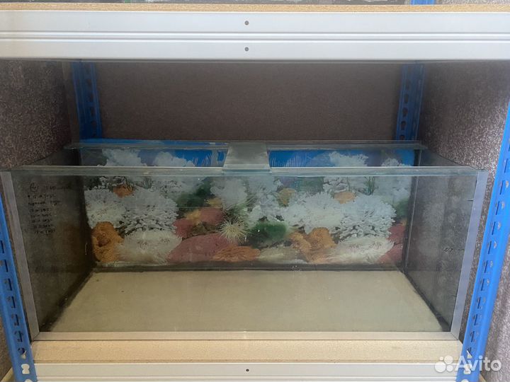 Аквариум