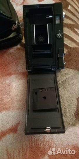 Вспышка, чайка