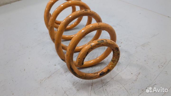 Пружина подвески задняя Volkswagen Passat CC, 2009