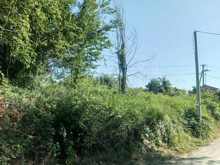 Участок 6 сот. (СНТ, ДНП)