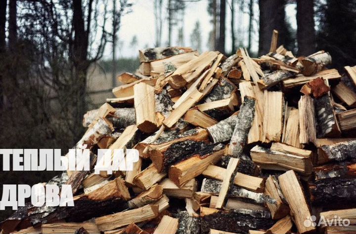 Дрова береза осина ольха доставка