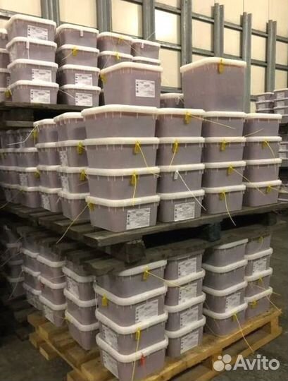 Красная икра Опт Кета Горбуша Нерка