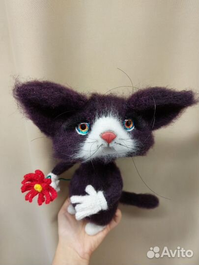 Кот