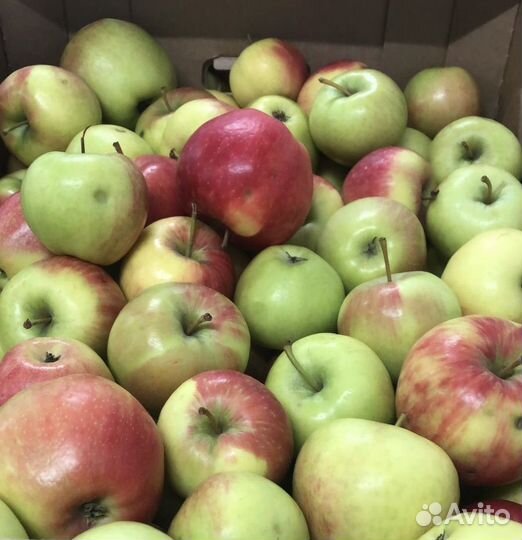 Яблоки оптом 1 сорт 2 сорт 3 сорт