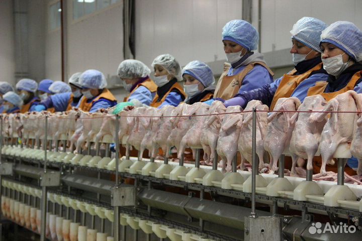 Вахта Белгород Проживание Питание Упаковщик-ца