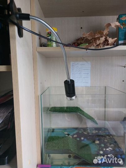 Террариум для черепашки, с уф лампой и горками