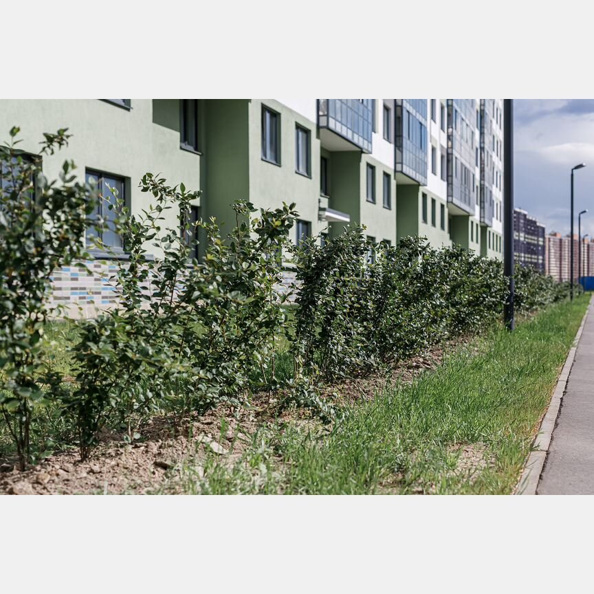 2-к. квартира, 61,2 м², 12/15 эт.