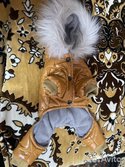 Комбинезон для собаки