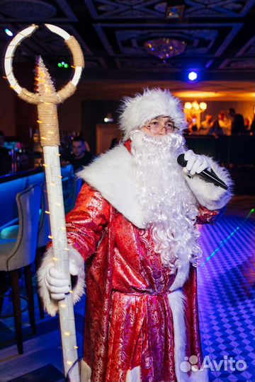 Дед мороз и снегурочка на дом