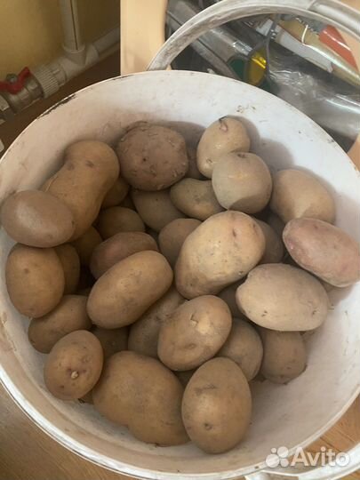 Картофель частный