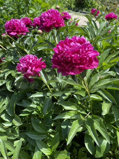 Дача 53,6 м² на участке 10 сот.