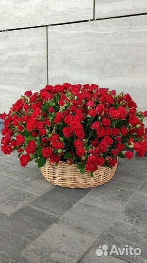 Кустовые розы корзина