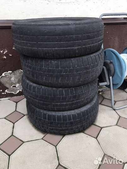 Белшина Бел-81