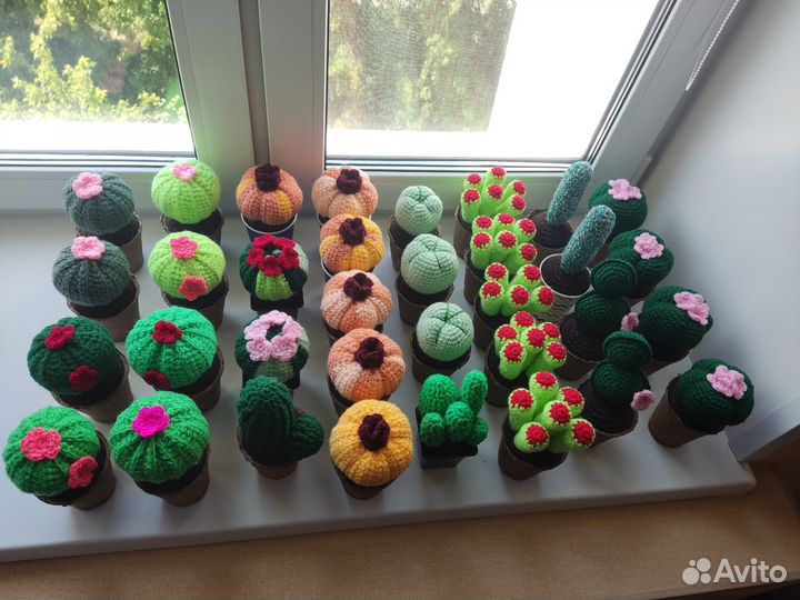 Кактусы и суккуленты вязаные