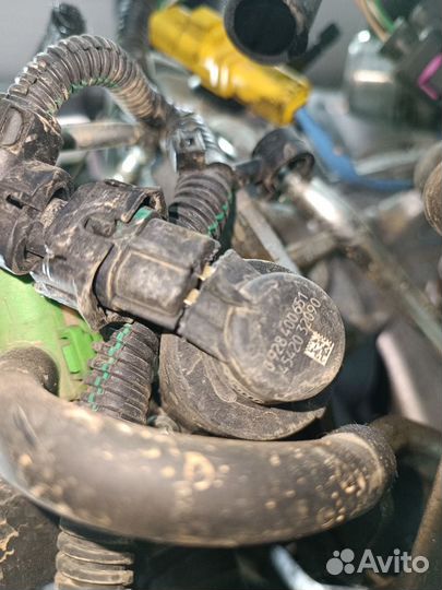 Тнвд Renault Laguna