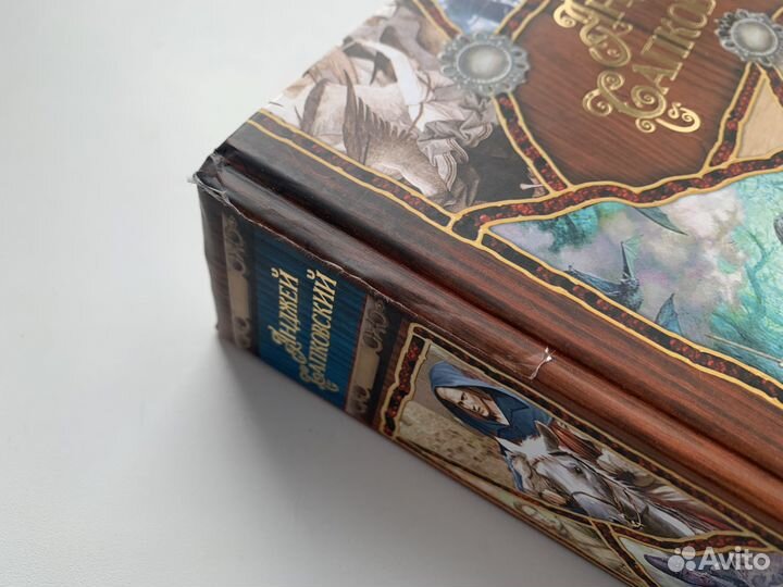 Божьи воины Анджей Сапковский