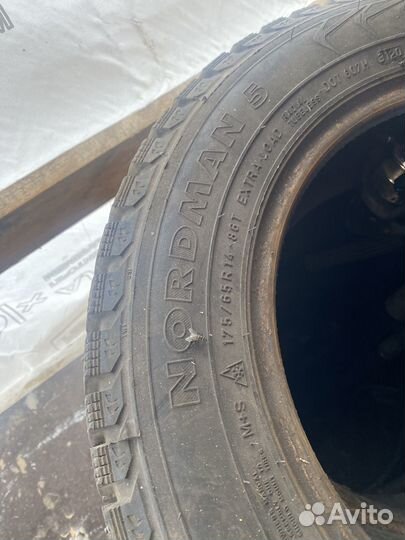 Nordman 5 175/65 R14