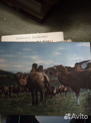 Стерео открытки СССР Монголия