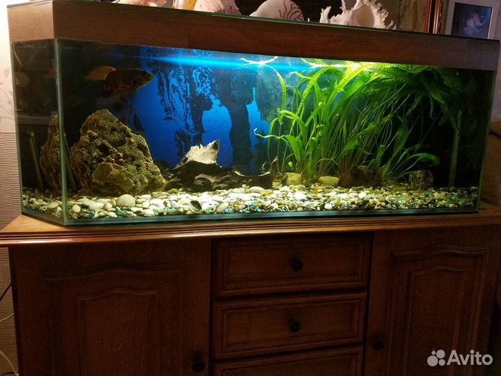 Продается аквариум 250 л