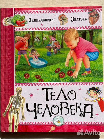 Энциклопедия тело человека