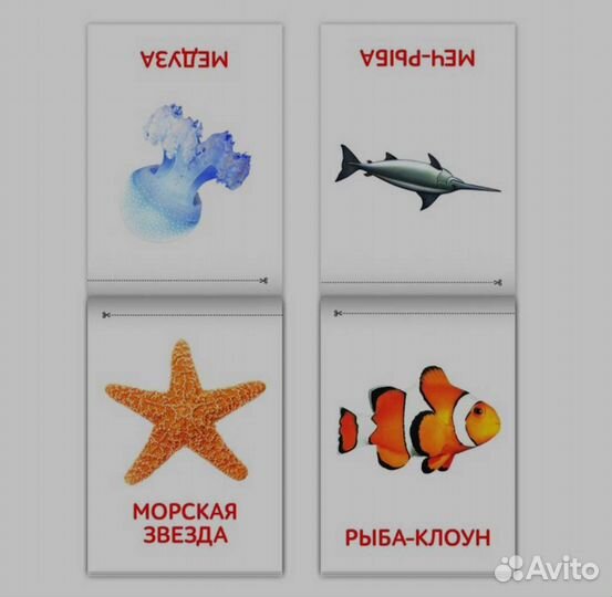 Развивающие карточки для детей Домана