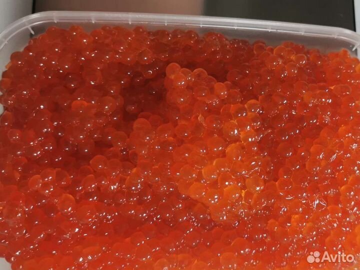 Икра кеты без септика 2023