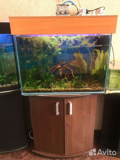 Аквариум с тумбой 105 л