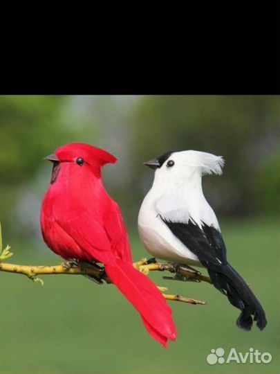 Декоративные птицы комплект новые