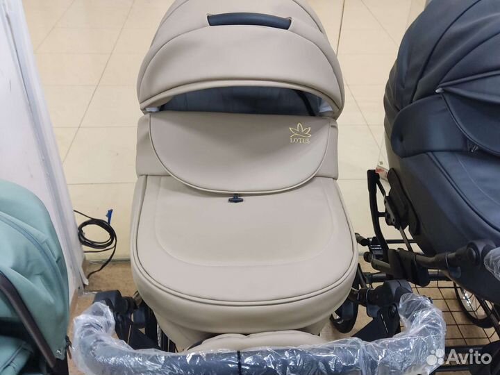 Коляска 1в1, 2в1 и 3в1 Esperanza Lotus Classic