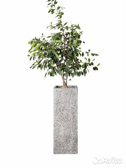 Изделия из бетона в наличии и на заказ