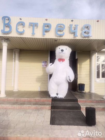 Экспресс поздравление