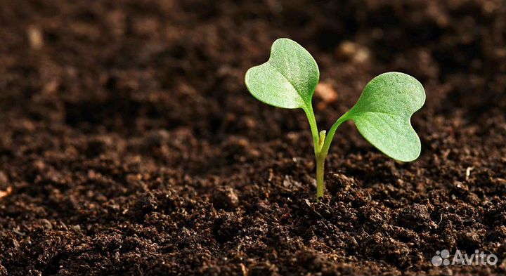 Грунт 3 Д - тройная защита